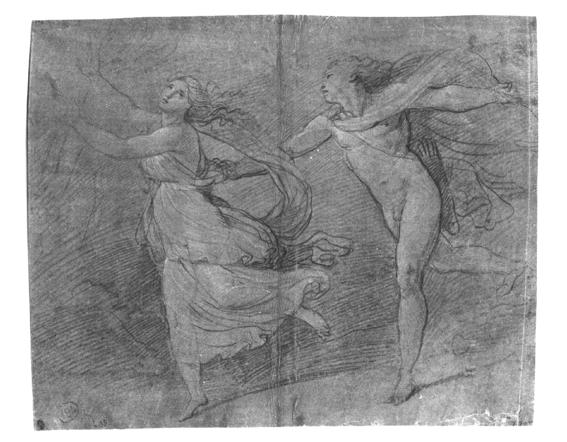 Apollo e Dafne - Pinacoteca Brera, Milano