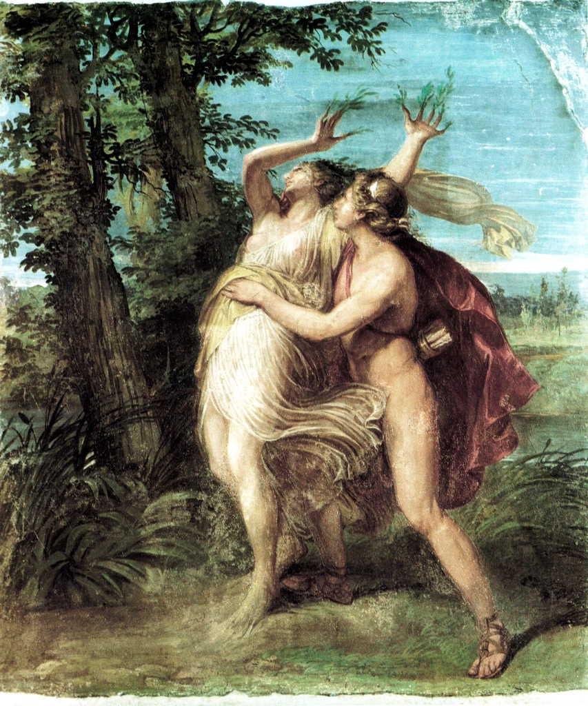 Apollo e Dafne - Pinacoteca Brera, Milano