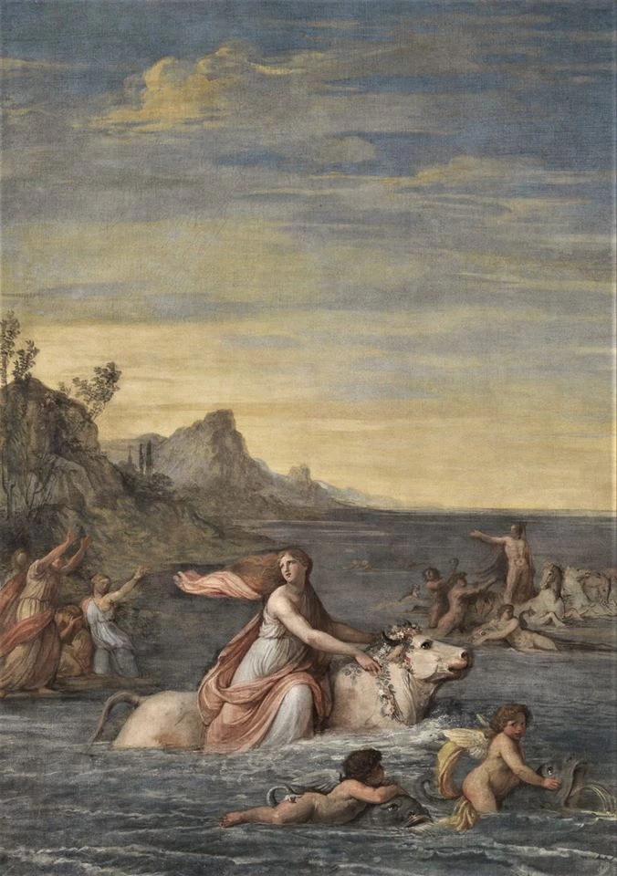 Il toro in mare