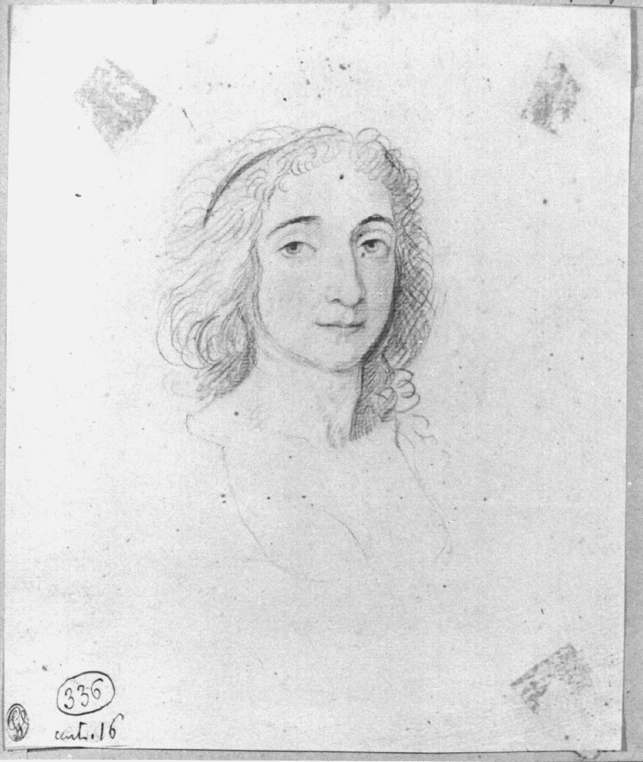 ritratto di donna - Pinacoteca Brera, Milano