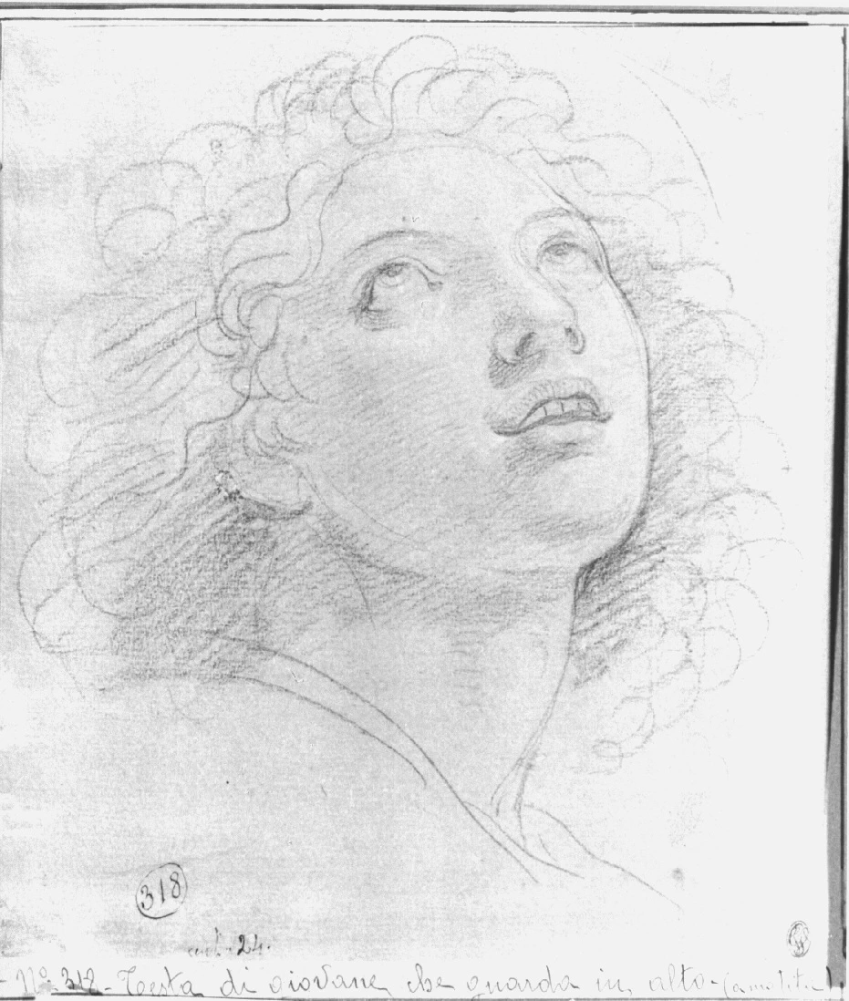 Testa di giovane che guarda verso l