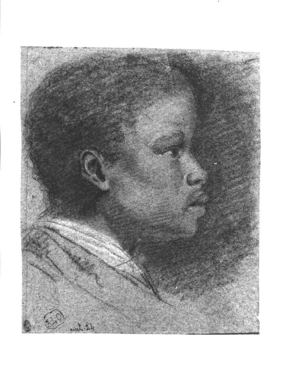 Testa di Mulatto - Pinacoteca Brera, Milano