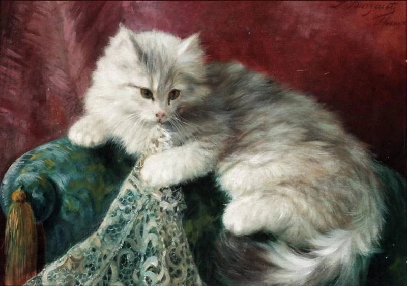 Gattino