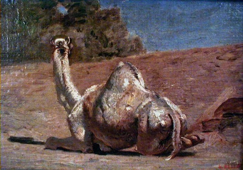Léon Belly 6 Dromedario sdraiato Museo dell'Hotel Sandelin, Saint Omer