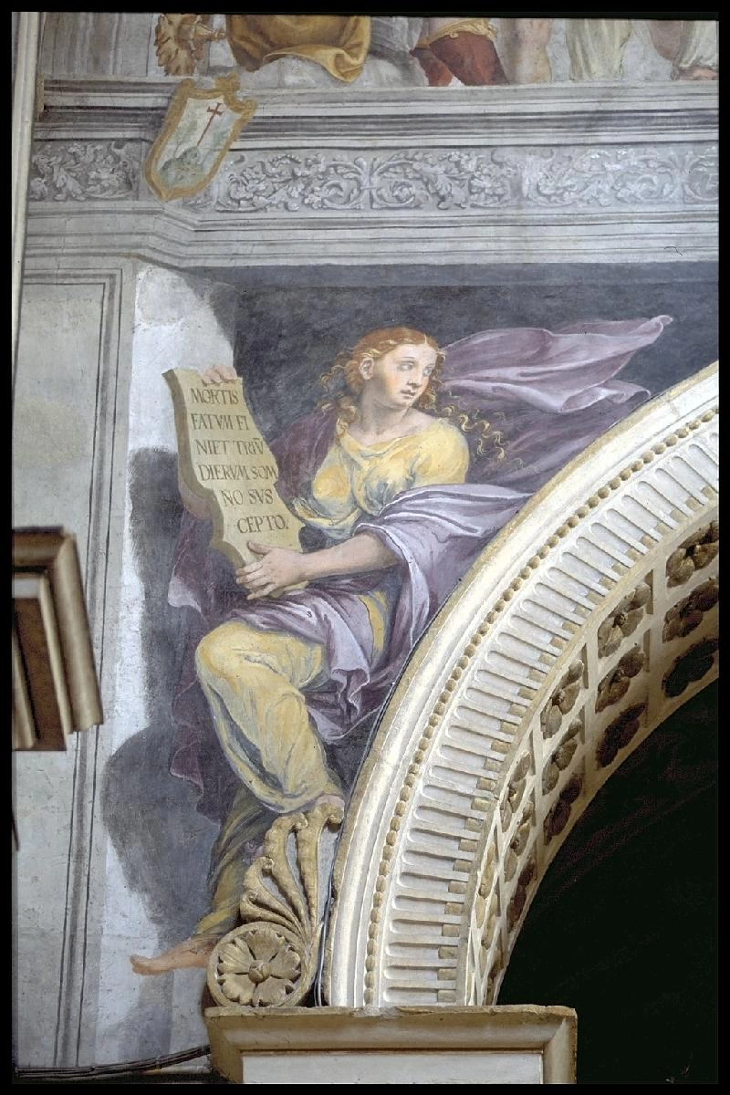 Sibilla con manto viola