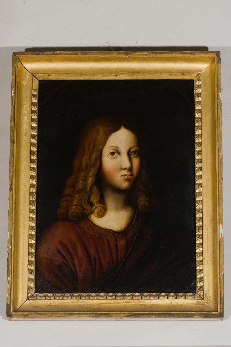 D'Oggiono M. primo quarto sec. XVI, Testa di Cristo adolescente