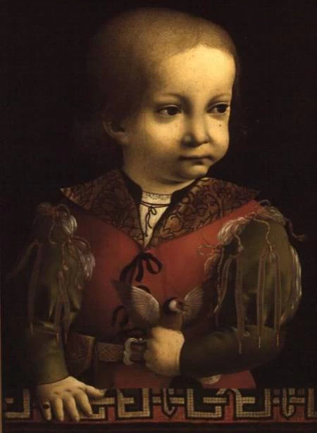 Francesco Maria Sforza - Museum of Art Gallery, Bristol