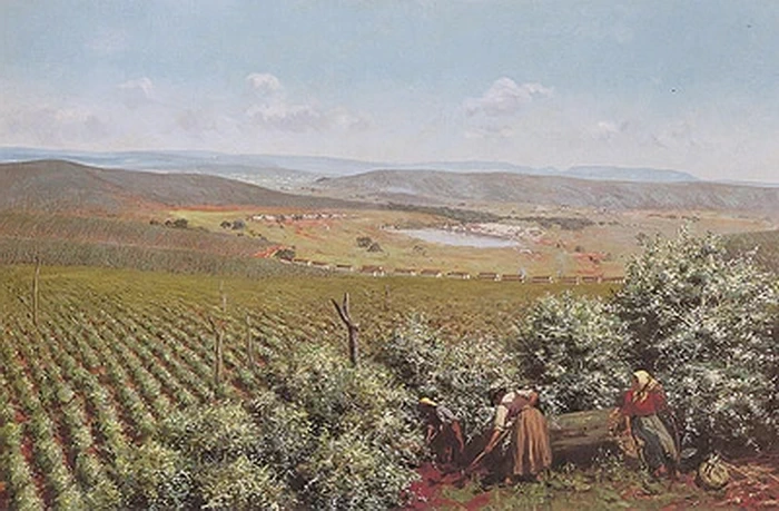 Antonio Ferrigno 11 Florada, Fattoria di Santa Gertrude