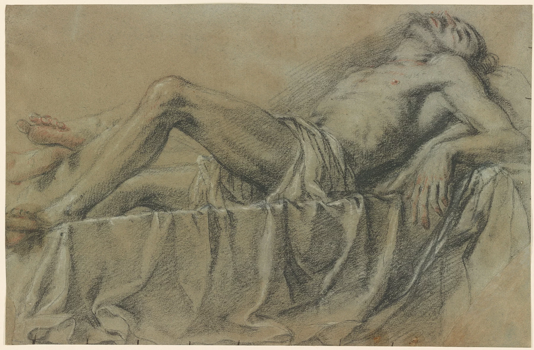Studio di Cristo morto