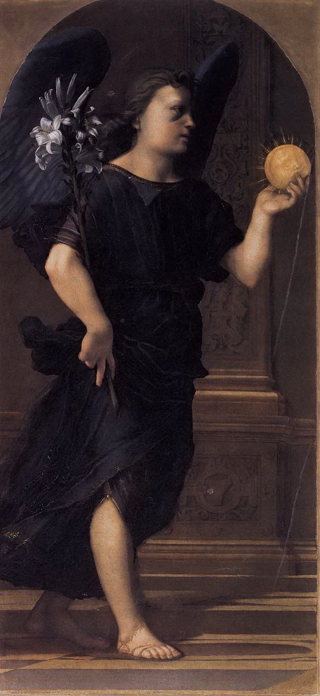 Angelo - Santo Spirito, Firenze