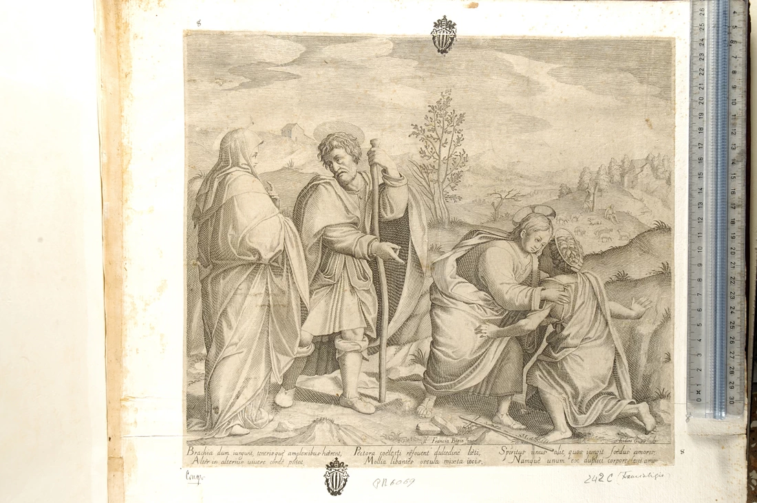 Franciabigio 119 San Giovannino abbraccia Gesù Bambino Pinacoteca Nazionale di Bologna
