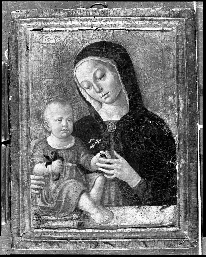 Bernardino Fungai 37 Madonna col Bambino Fogg Art Museum, Cambridge