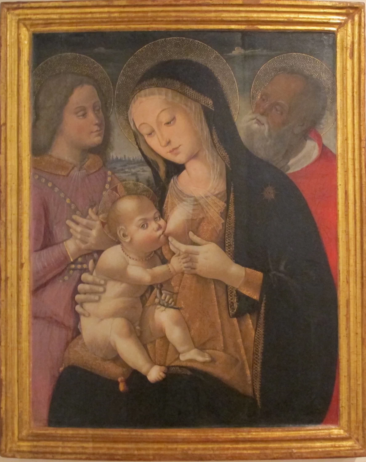 Bernardino Fungai 46 Madonna col Bambino, un angelo e S. Girolamo Pinacoteca Nazionale di Siena