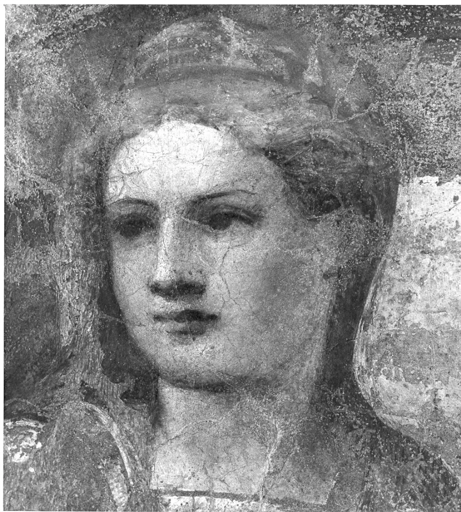 Testa femminile - Pavia