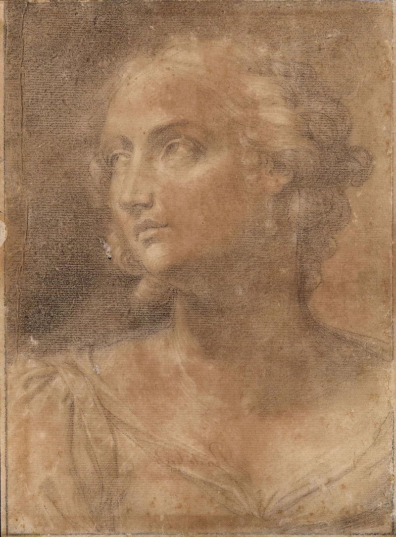 Ritratto di donna - Biblioteca Nazionale del Brasile