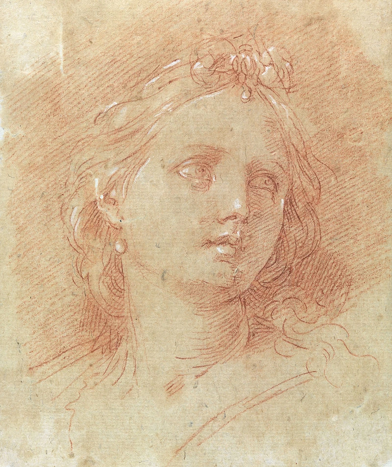 Ritratto di donna - Biblioteca Nazionale del Brasile