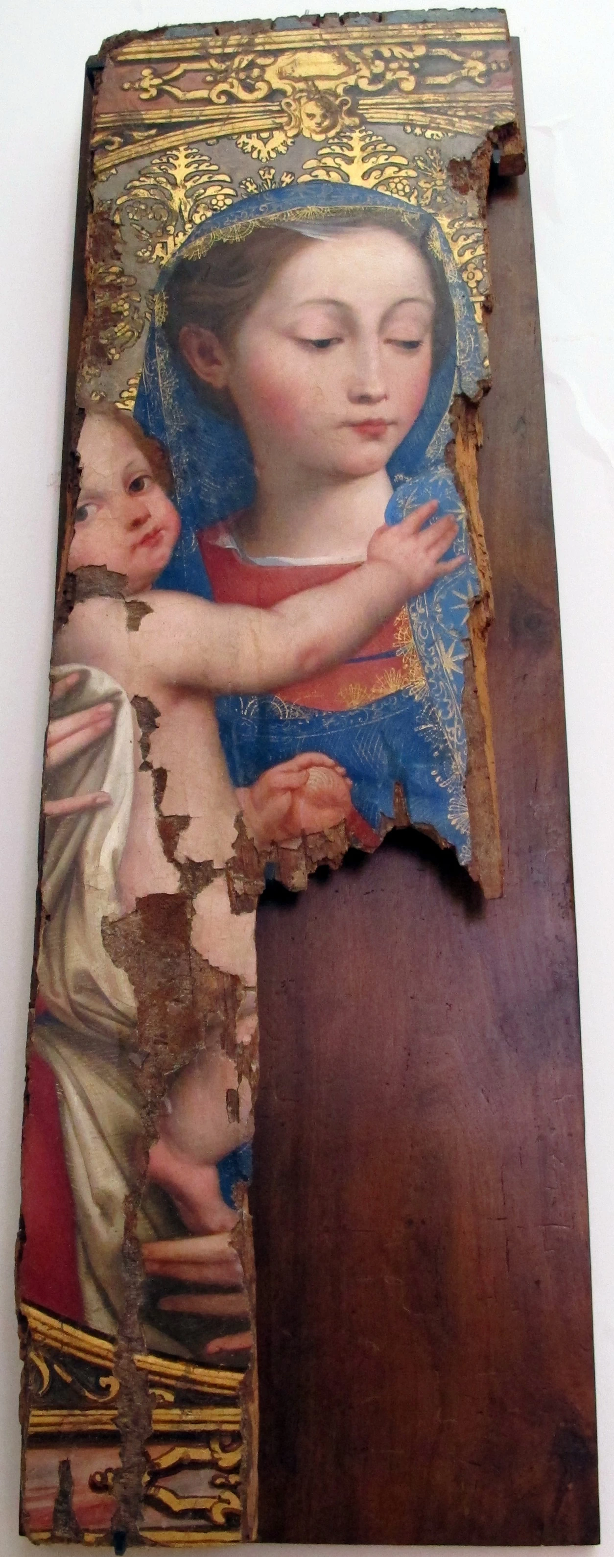 Madonna della purità - frammento