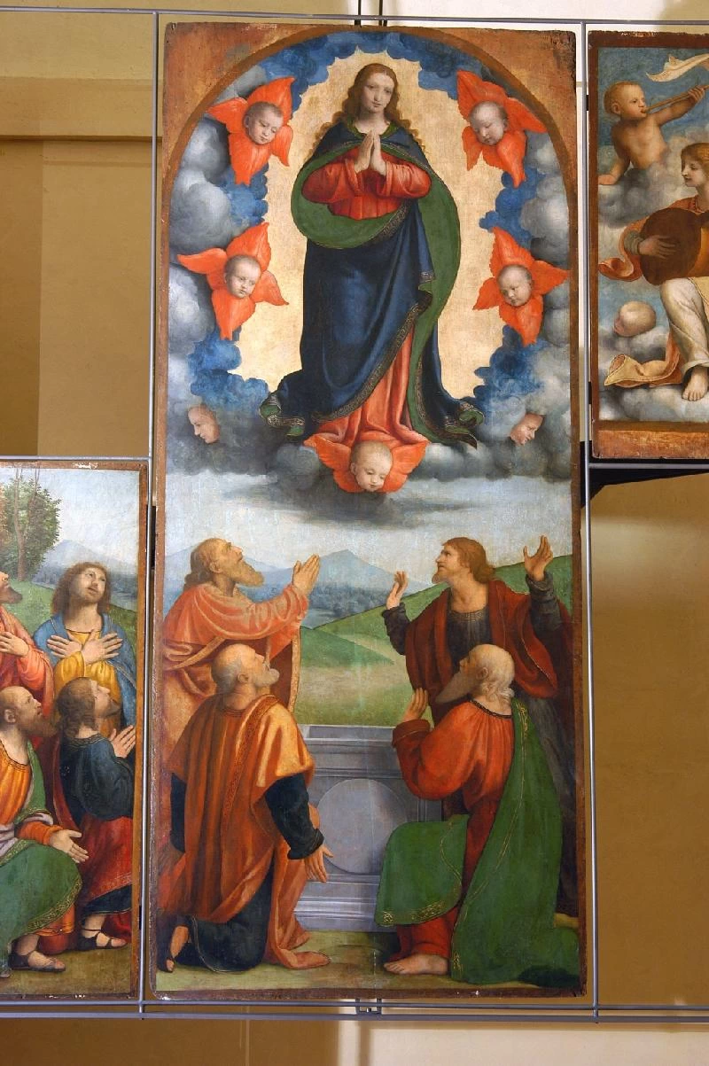 B. (1522 ca.), Assunzione della Madonna