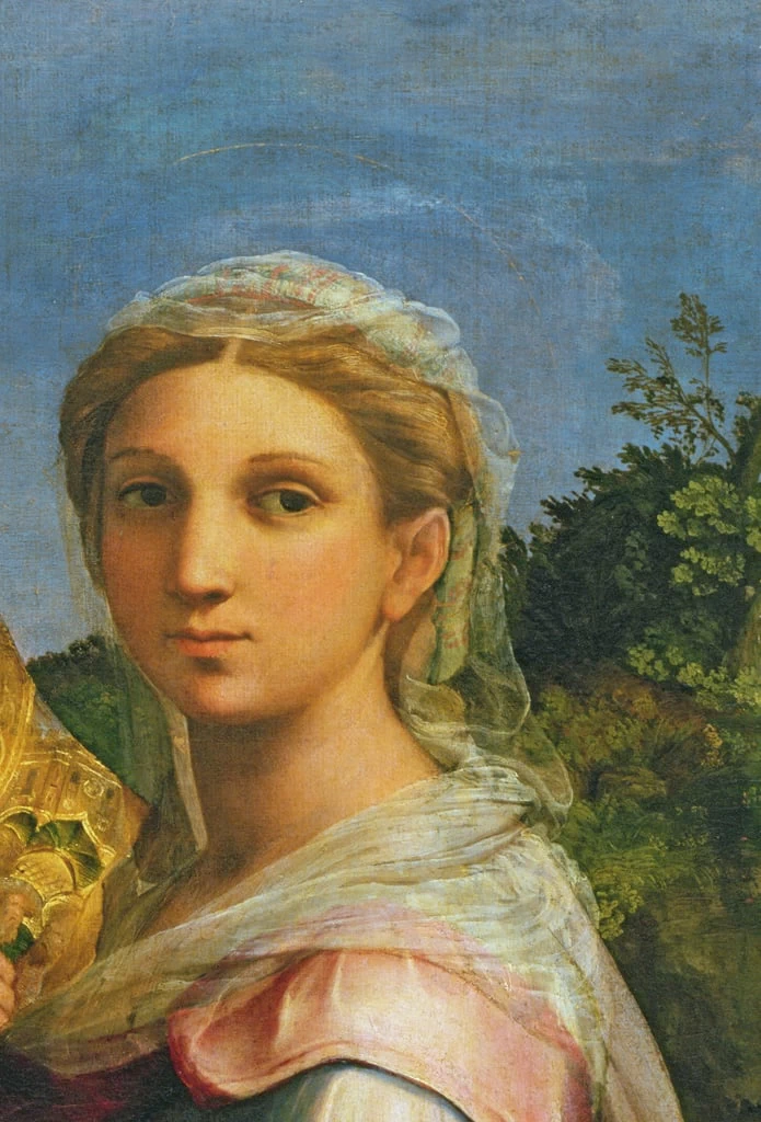 231 Raffaello Sanzio