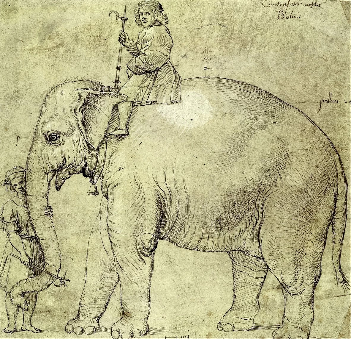 281 Raffaello Sanzio