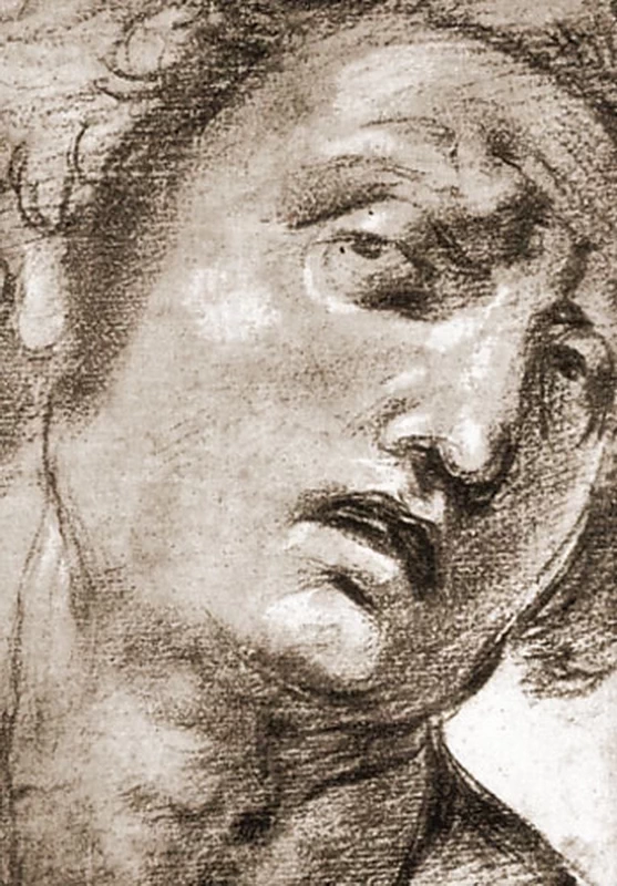 309 Raffaello Sanzio