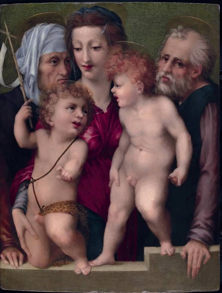 104 Rosso Fiorentino Madonna col Bambino, San Giovanni Battista, Santa Elisabetta e San Maison d'Art, Monaco