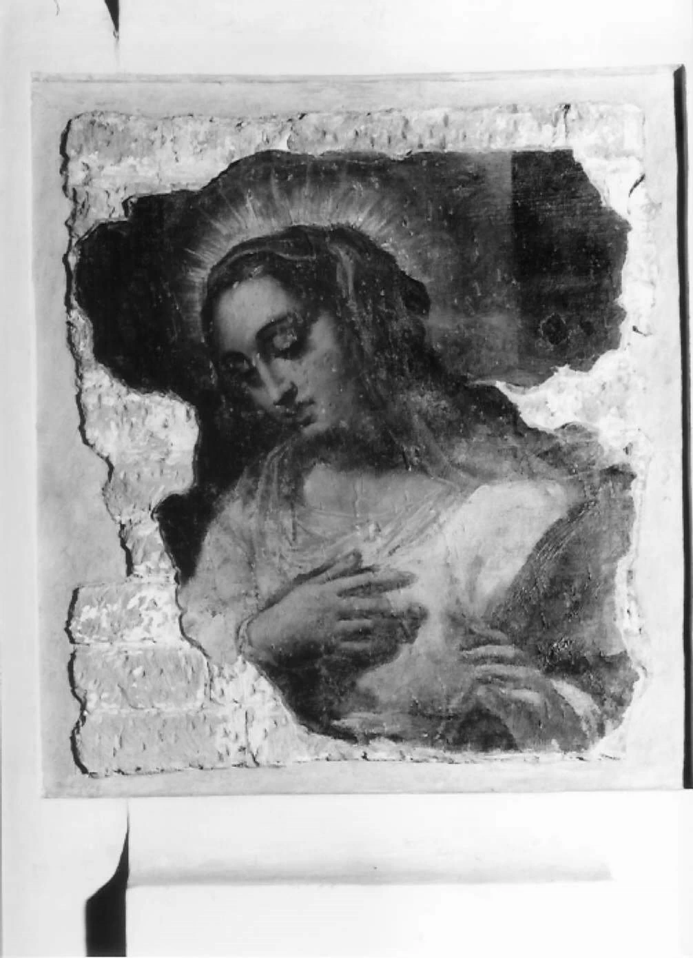 Viso della Madonna - Ferrrara