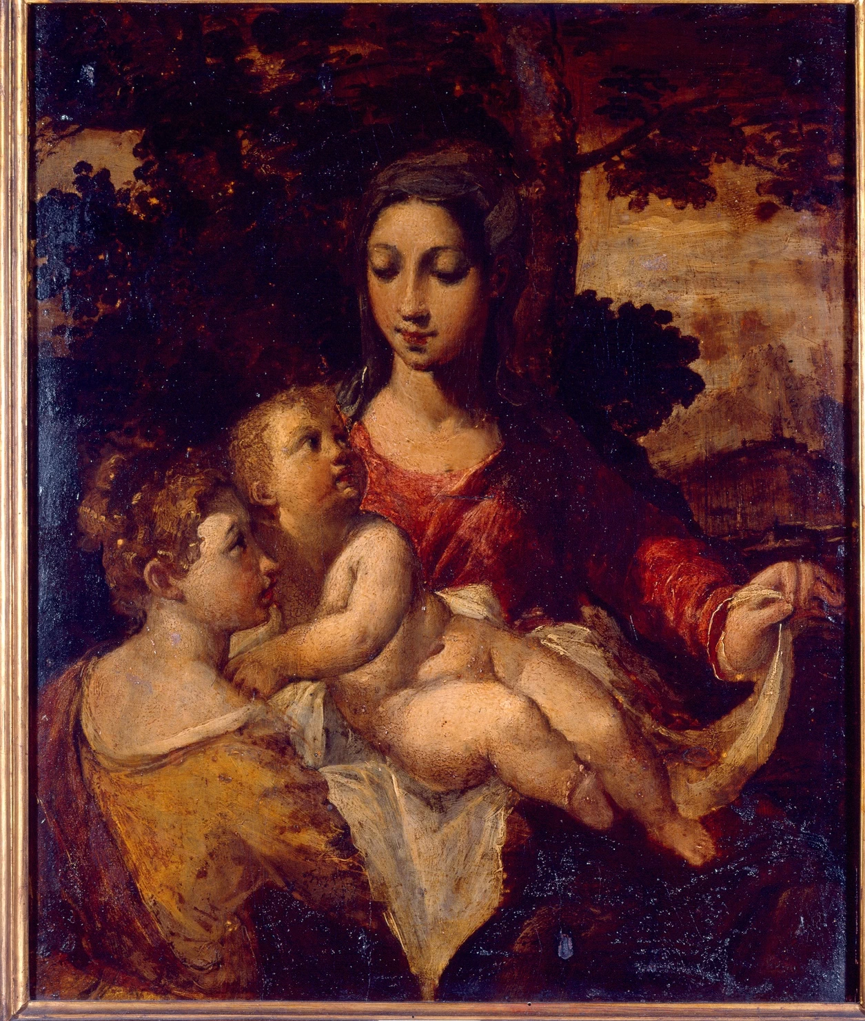 Madonna col Bambino e santa Caterina - Palazzo della Pilotta, Parma