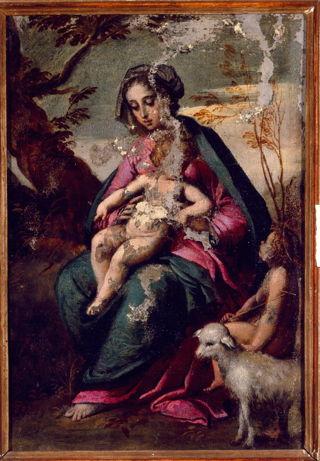 Madonna con Bambino e San Giovannino - Palazzo Pilotta, Parma