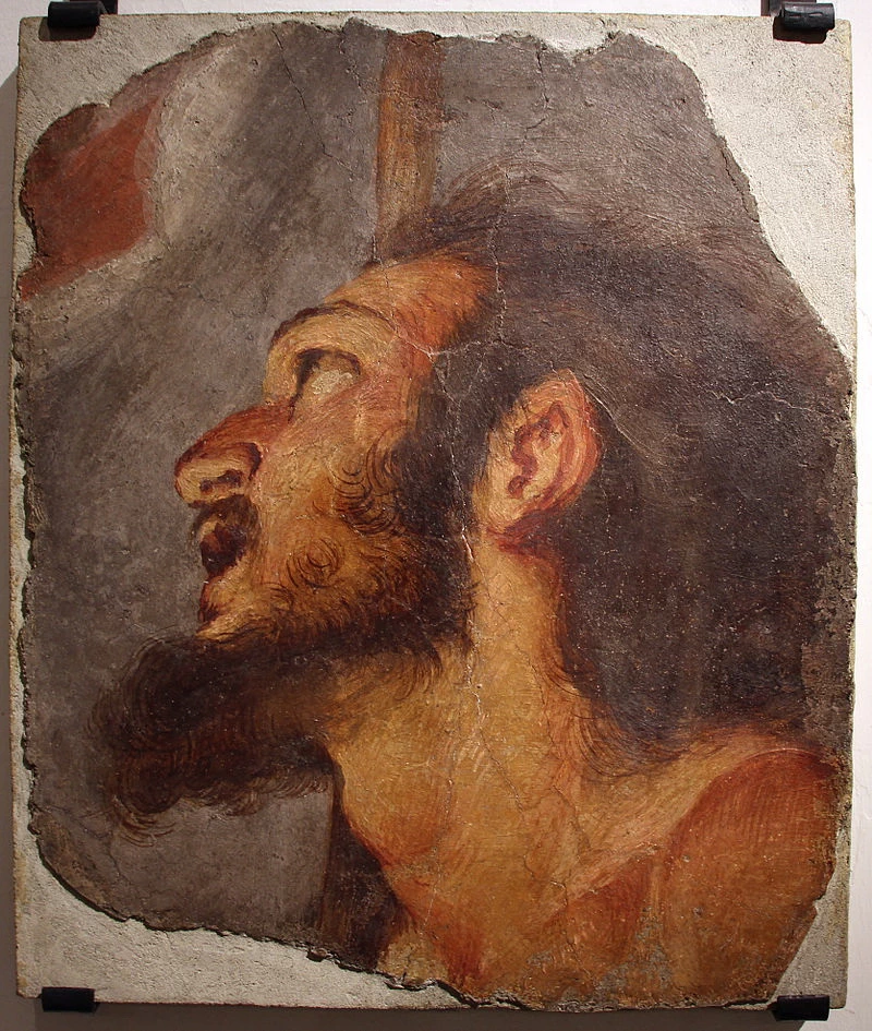 Testa del Battista - da coro della chiesa di s. domenico, Genova