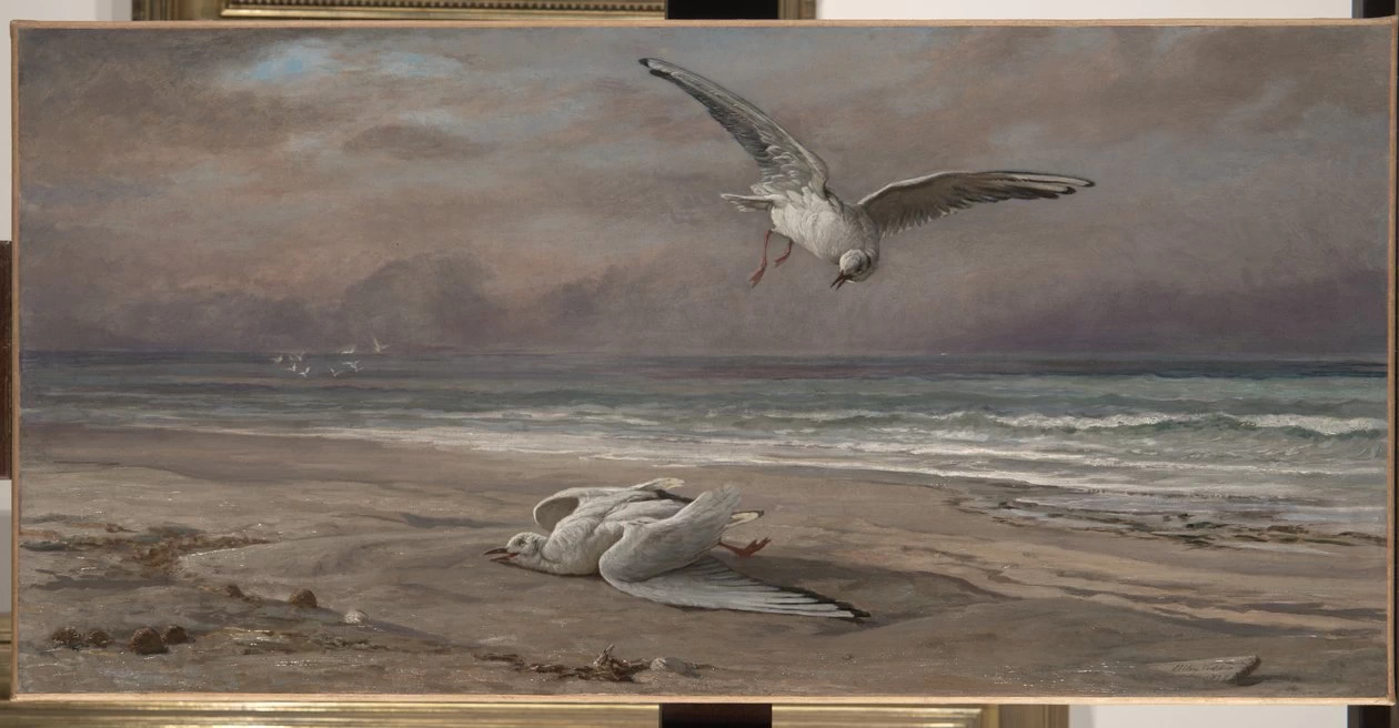 Elihu Vedder 13 Il gabbiano morente Huntington Library and Art Gallery, San Marinoù