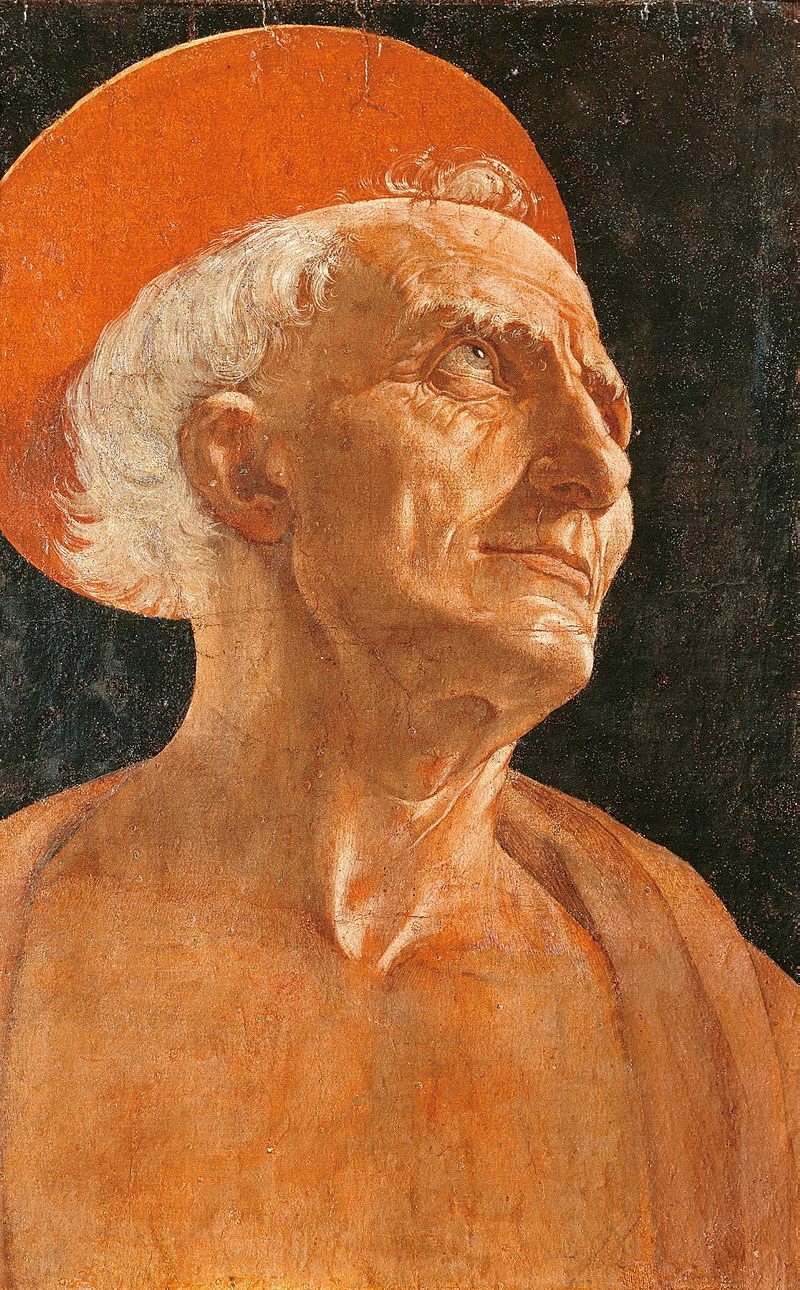 Testa di San Gerolamo; Firenze, palazzo Pitti