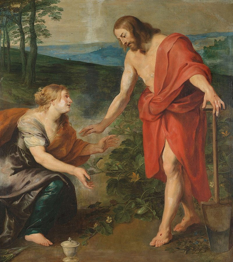07 22 rubens