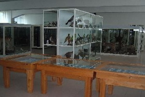 Museo Civico Storia Naturale