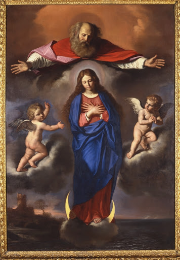 143 35 Immacolata Ancona